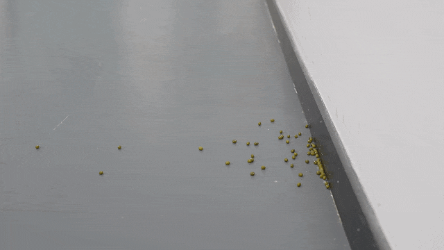 南 我们追踪统计了48款热销家电发现……j9九游会(中国)网站“双十一”避坑指(图11)